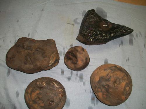 vendo fósiles encontrados en viota cundinama - Imagen 1