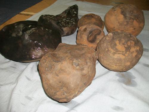 vendo fósiles encontrados en viota cundinama - Imagen 3