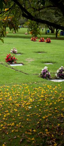 Venta Lote Doble Cementerio Jardines De Paz   - Imagen 1